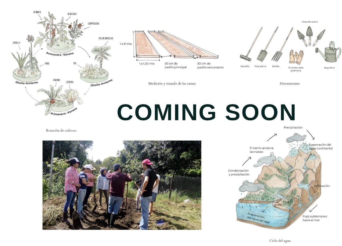 Regenerative agriculture and vegetable garden course - Coming soon
